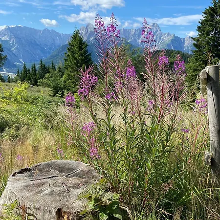 Apartma Confine Apartment *