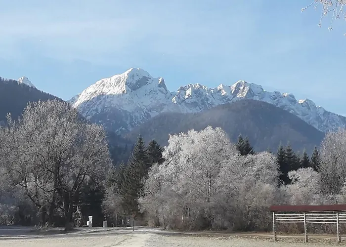 Daire Apartma Confine Rateče