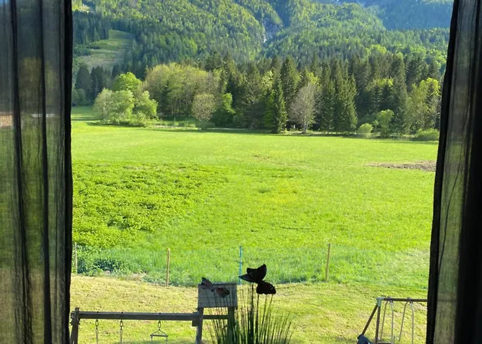 Daire Apartma Confine *