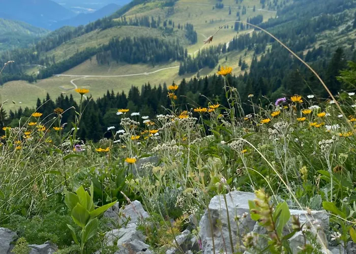 Apartma Confine Apartment Ratece