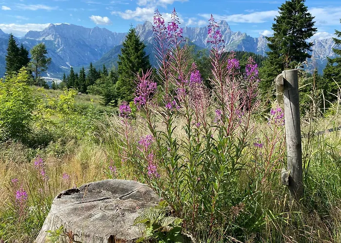 Apartma Confine Daire *