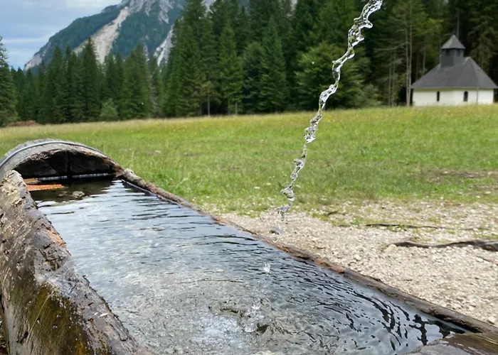 Daire Apartma Confine *